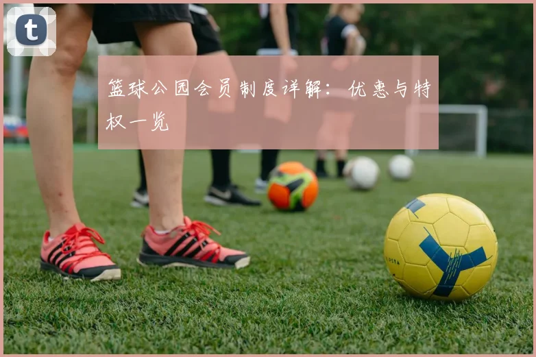 篮球公园会员制度详解:优惠与特权一览