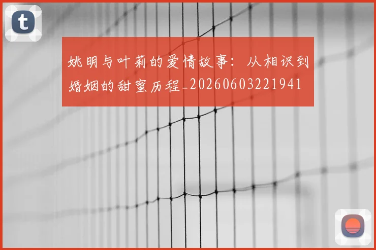 姚明与叶莉的爱情故事：从相识到婚姻的甜蜜历程_20260603221941